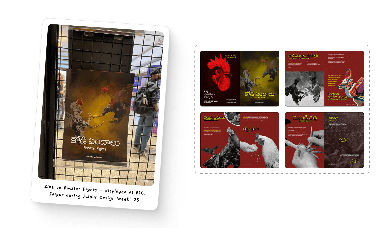 Zine on Rooster Fights